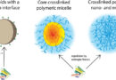 Nanoparticles in the biological context: surface morphology and protein corona formation