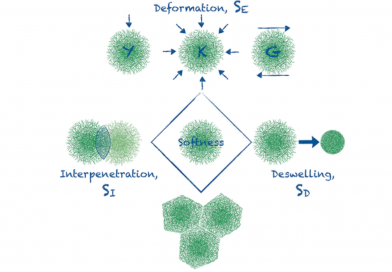 How Softness Matters in Soft Nanogels and Nanogel Assemblies